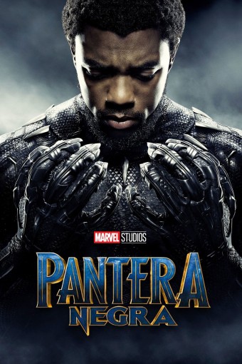 2018 Pantera Negra (Dublado) - Na Escolha de 10 filmes ou desenhos, o Pen-Drive será grátis...Aproveite!
