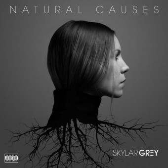 Skylar Grey 2016 - Natural Causes - Na escolha de 10 álbuns musicais, 10 filmes ou desenhos, o Pen-Drive será grátis...Aproveite!