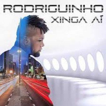 Rodriguinho 2016 - Xinga Ai - Na escolha de 10 álbuns musicais, 10 filmes ou desenhos, o Pen-Drive será grátis...Aproveite!