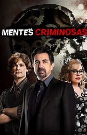 Criminal Minds - 01ª Temporada (Dublado) - PEN-DRIVE INCLUSO