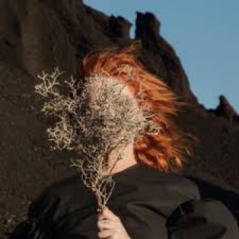 Goldfrapp 2017 - Silver Eye - Na escolha de 10 álbuns musicais, 10 filmes ou desenhos, o Pen-Drive será grátis...Aproveite!