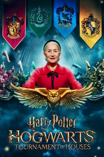 Harry Potter - O Campeonato das Casas de Hogwarts - 1ª Temporada (Dublado) - PEN-DRIVE INCLUSO