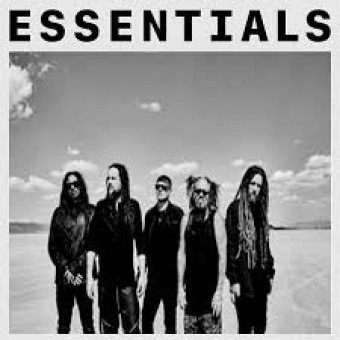 Korn 2020 - Essentials - Na escolha de 10 álbuns musicais, 10 filmes ou desenhos, o Pen-Drive será grátis...Aproveite!