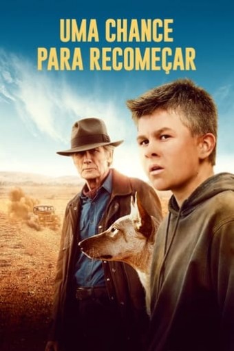 2021 Uma Chance para Recomecar - Na Escolha de 10 filmes ou desenhos, o Pen-Drive será grátis...Aproveite!