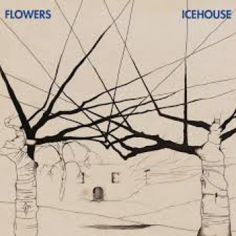 Icehouse 2011 - Icehouse (30th Anniversary Edition) - Na escolha de 10 álbuns musicais, 10 filmes ou desenhos, o Pen-Drive será grátis...Aproveite!