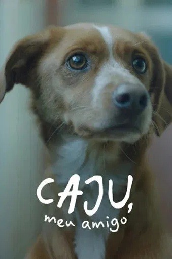 2026 Caju Meu Amigo (Nacional) - *Na Escolha de 10 filmes ou desenhos, o Pen-Drive será grátis...Aproveite!