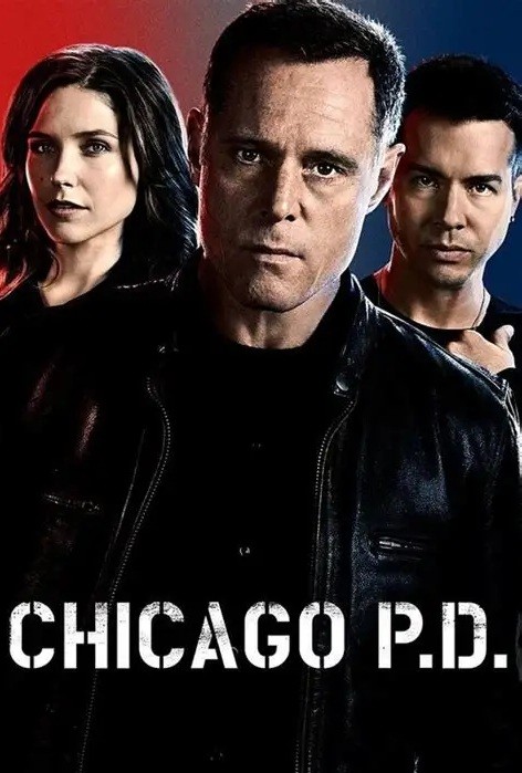 Chicago PD. - 02ª Temporada (Dublado) - *PEN-DRIVE INCLUSO