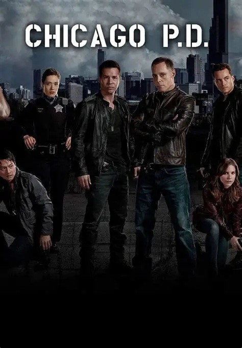 Chicago PD. - 08ª Temporada (Dublado) - *PEN-DRIVE INCLUSO