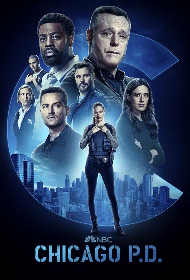 Chicago PD. - 13ª Temporada (Dublado) - *PEN-DRIVE INCLUSO 