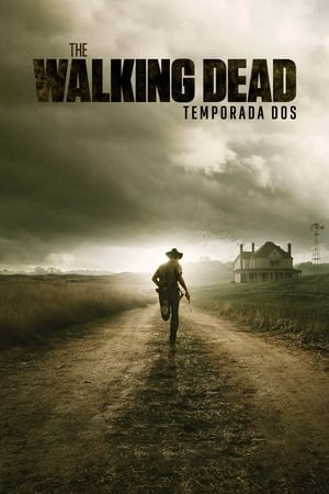 The Walking Dead - 02ª Temporada (Dublada) - *PEN-DRIVE INCLUSO