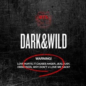 BTS 2014 - Dark & Wild - Na escolha de 10 álbuns musicais, 10 filmes ou desenhos, o Pen-Drive será grátis...Aproveite!