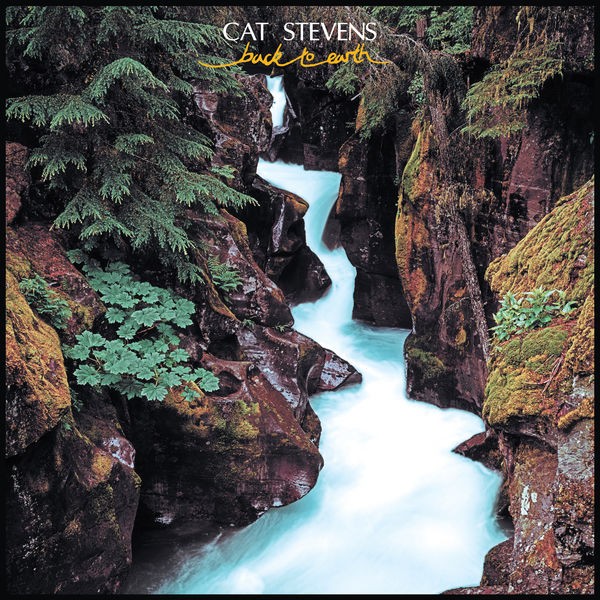 Cat Stevens 1978 - Back to Earth (2019 Remaster) - Na escolha de 10 álbuns musicais, 10 filmes ou desenhos, o Pen-Drive será grátis...Aproveite!