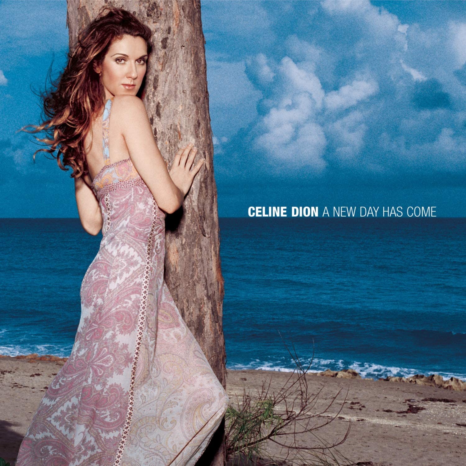 Celine Dion 2008 - A New Day Has Come (New Collector_s Edition) - Na Escolha de 10 álbuns musicas o Pen-Drive será grátis...Aproveite!