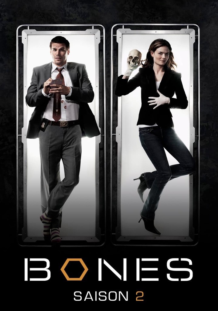 Bones - 02ª Temporada (Dublado) - *PEN-DRIVE INCLUSO 