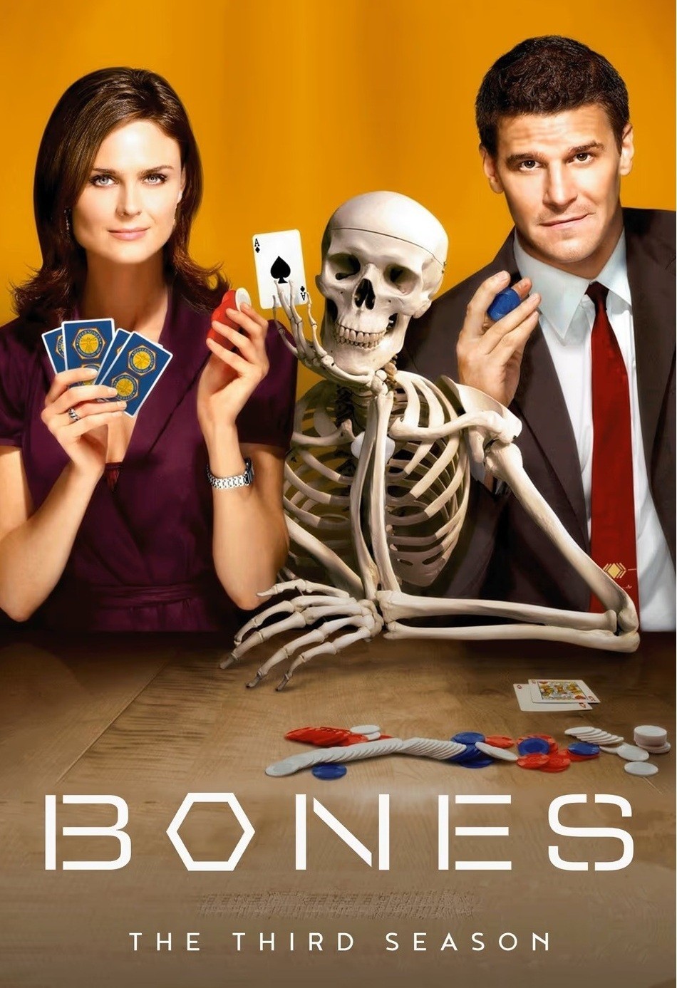 Bones - 03ª Temporada (Dublado) - *PEN-DRIVE INCLUSO 