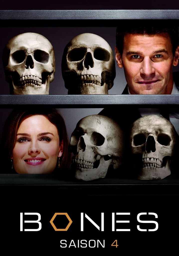 Bones - 04ª Temporada (Dublado) - *PEN-DRIVE INCLUSO