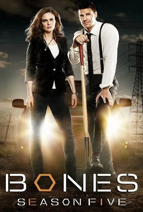 Bones - 05ª Temporada (Dublado) - *PEN-DRIVE INCLUSO