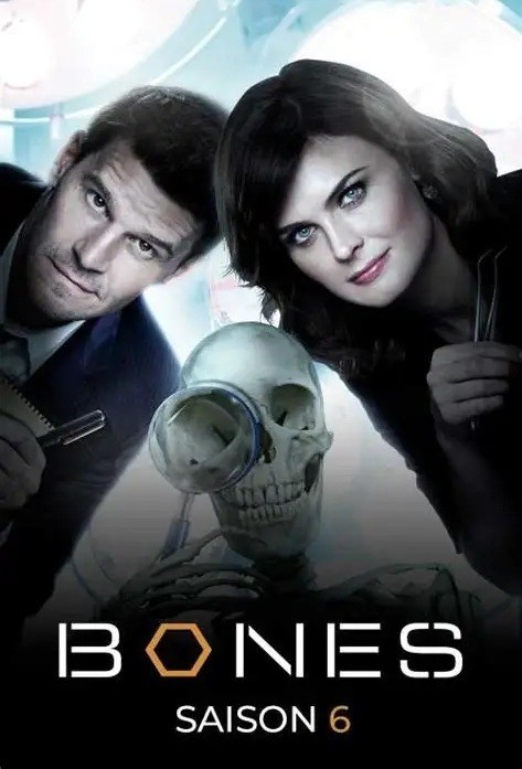 Bones - 06ª Temporada (Dublado) - *PEN-DRIVE INCLUSO 