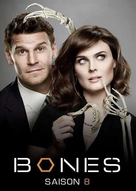 Bones - 08ª Temporada (Dublado) - *PEN-DRIVE INCLUSO 