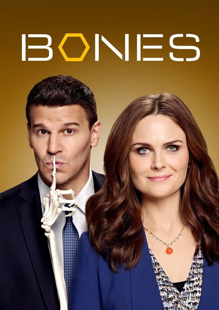 Bones - 09ª Temporada (Dublado) - *PEN-DRIVE INCLUSO