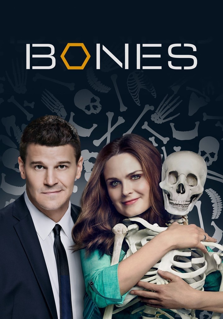 Bones - 10ª Temporada (Dublado) - *PEN-DRIVE INCLUSO 