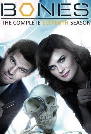 Bones - 11ª Temporada (Dublado) - *PEN-DRIVE INCLUSO