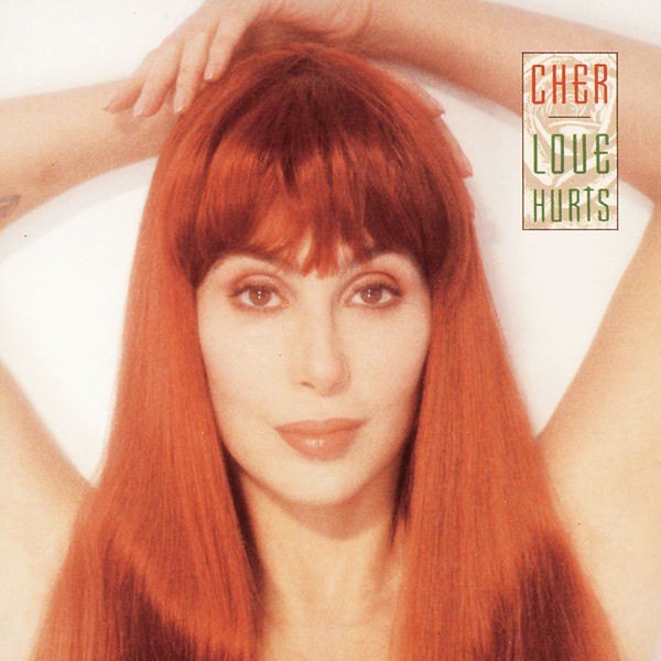 Cher 1991 - Love Hurts - Na escolha de 10 álbuns musicais, 10 filmes ou desenhos, o Pen-Drive será grátis...Aproveite!