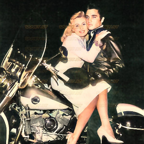 Elvis Presley 2021 - The Complete 1960 Sessions (Remastered) - Na escolha de 15 álbuns musicais, 15 filmes ou desenhos, o Pen-Drive será grátis...Aproveite!