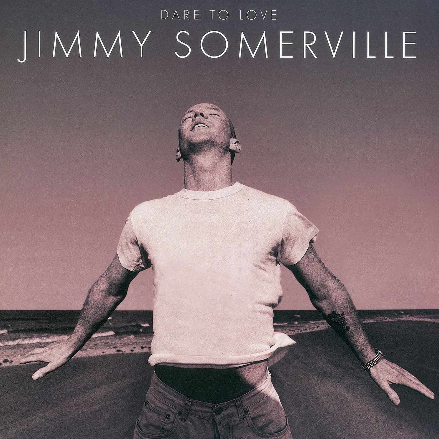 Jimmy Somerville 1995 - Dare To Love (Deluxe) - Na Escolha de 15 álbuns musicais e Video, o Pen-Drive será grátis...Aproveite!