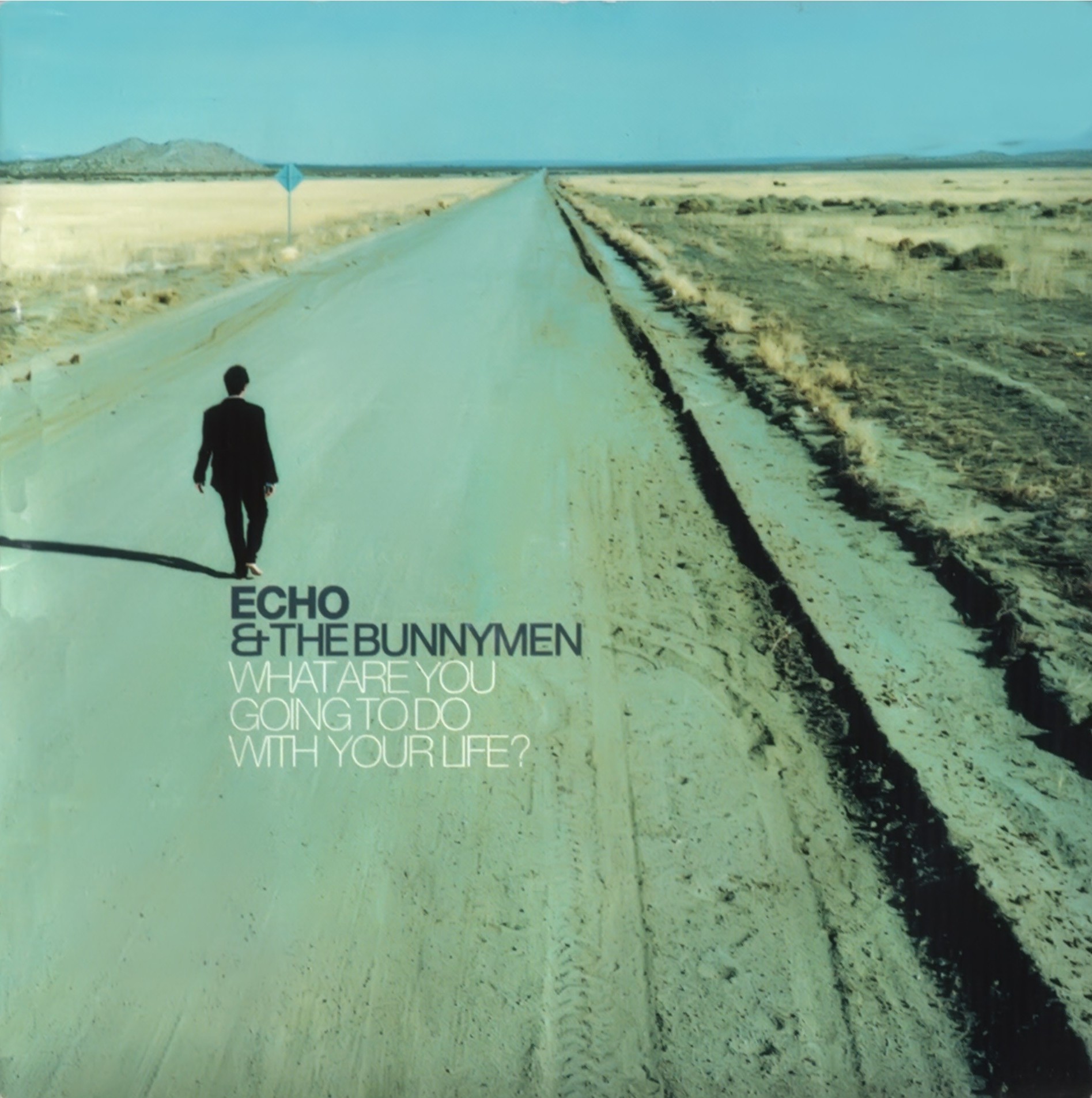 Echo & The Bunnymen 1999 - What Are You Going To Do With Your Life - Na escolha de 10 álbuns musicais, 10 filmes ou desenhos, o Pen-Drive será grátis...Aproveite!