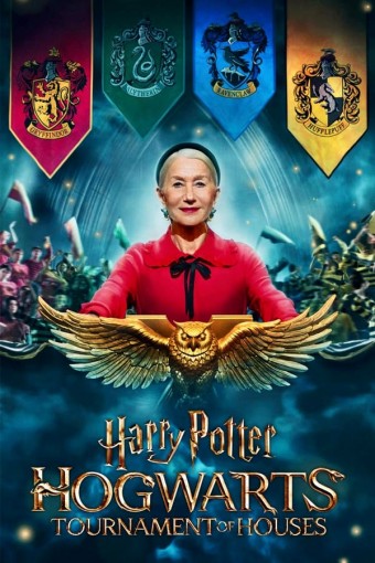 2022 Harry Potter - O Campeonato Das Casas De Hogwarts - Na Escolha de 10 filmes ou desenhos, o Pen-Drive será grátis...Aproveite!